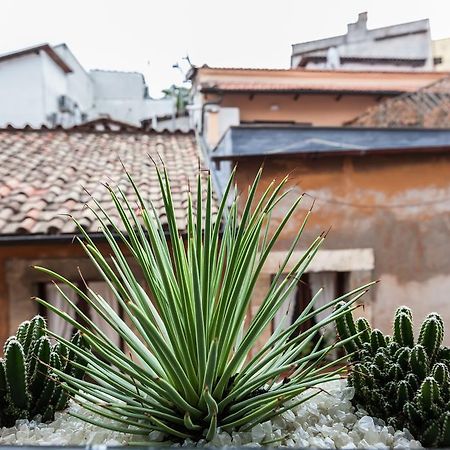 Casa Serena Rom Rum bild
