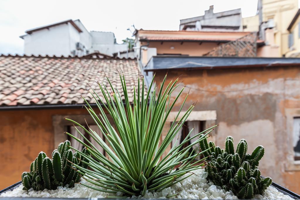 Casa Serena Rom Rum bild